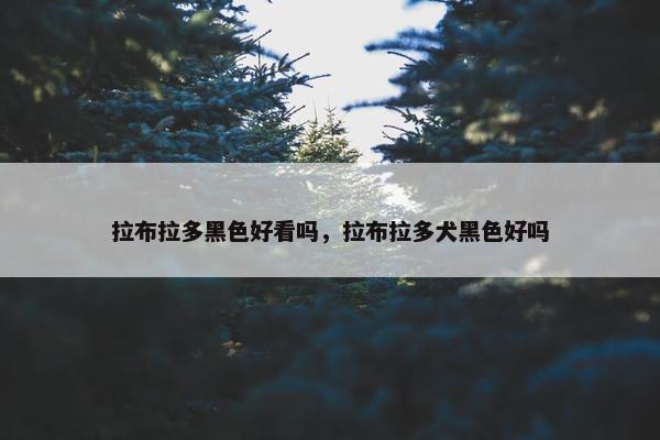 拉布拉多黑色好看吗，拉布拉多犬黑色好吗