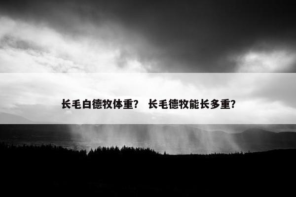 长毛白德牧体重？ 长毛德牧能长多重？
