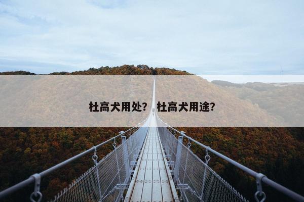 杜高犬用处？ 杜高犬用途？