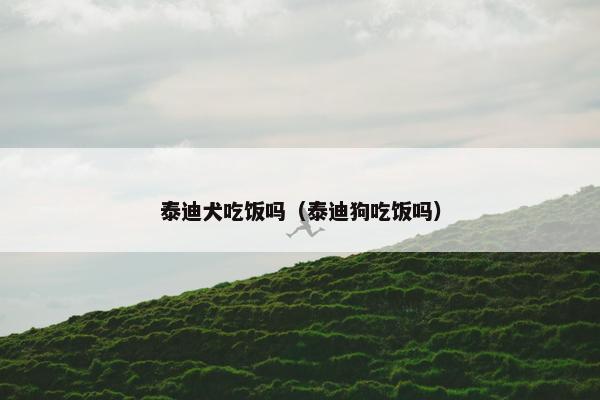 泰迪犬吃饭吗（泰迪狗吃饭吗）