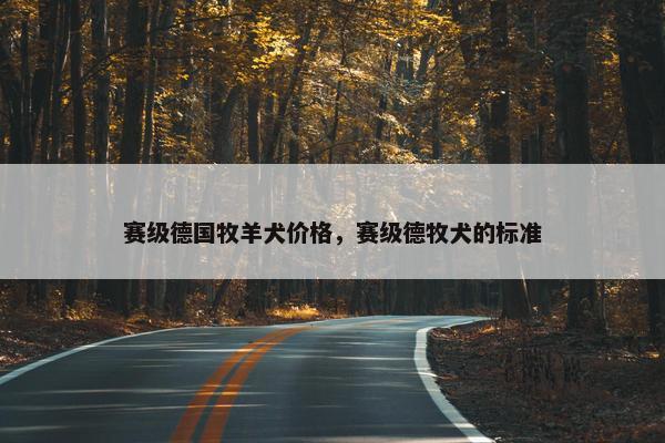 赛级德国牧羊犬价格，赛级德牧犬的标准