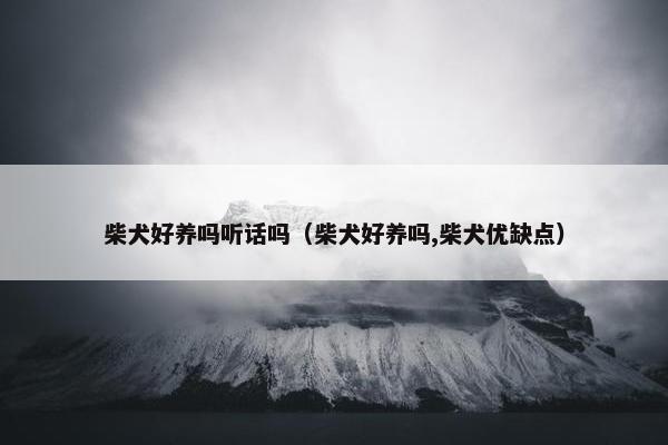 柴犬好养吗听话吗（柴犬好养吗,柴犬优缺点）