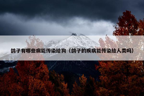 鸽子有哪些病能传染给狗（鸽子的疾病能传染给人类吗）