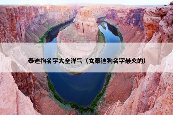 泰迪狗名字大全洋气（女泰迪狗名字最火的）