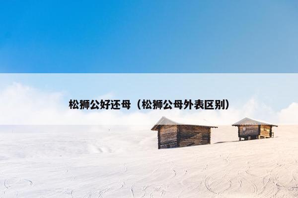 松狮公好还母（松狮公母外表区别）