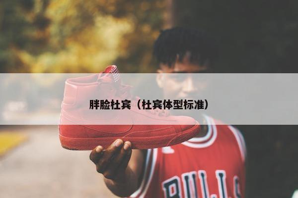 胖脸杜宾（杜宾体型标准）