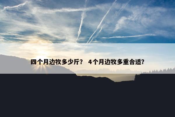 四个月边牧多少斤？ 4个月边牧多重合适？