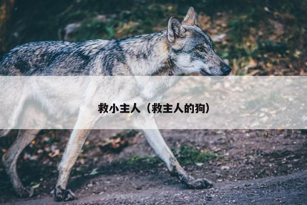 救小主人（救主人的狗）