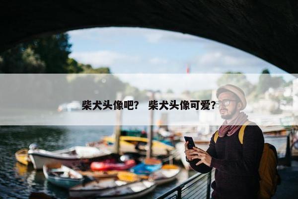柴犬头像吧？ 柴犬头像可爱？