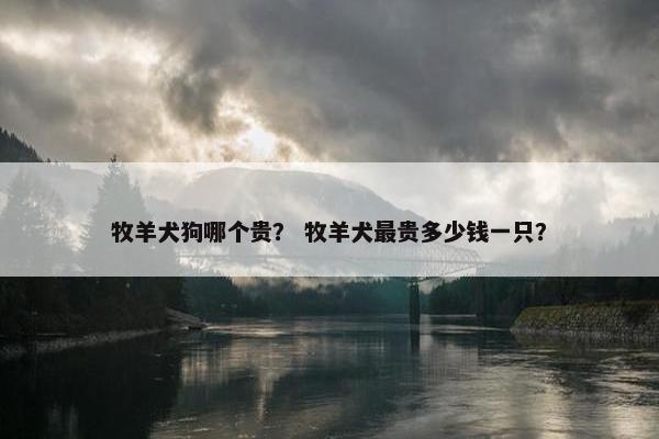 牧羊犬狗哪个贵？ 牧羊犬最贵多少钱一只？