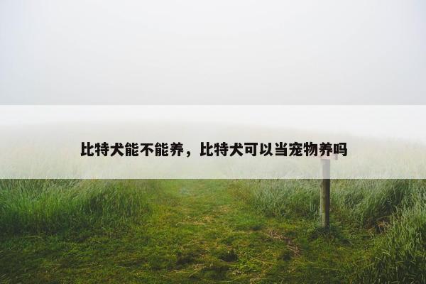 比特犬能不能养，比特犬可以当宠物养吗