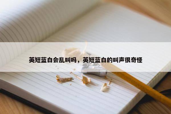 英短蓝白会乱叫吗，英短蓝白的叫声很奇怪