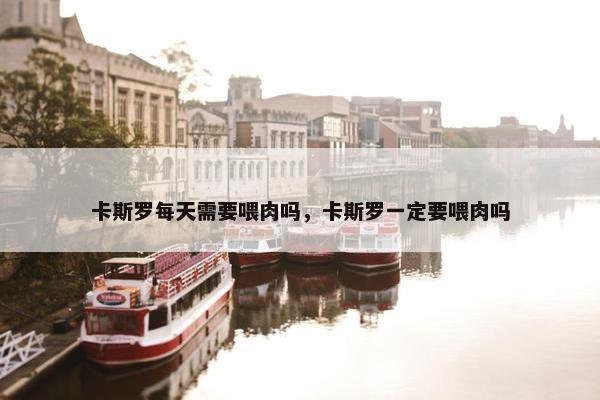 卡斯罗每天需要喂肉吗，卡斯罗一定要喂肉吗