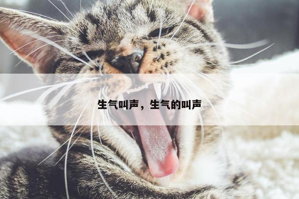 生气叫声，生气的叫声