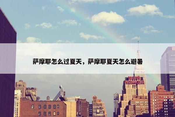 萨摩耶怎么过夏天，萨摩耶夏天怎么避暑