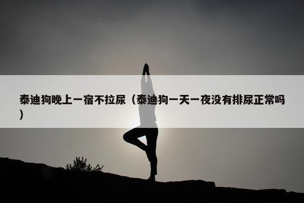 泰迪狗晚上一宿不拉尿（泰迪狗一天一夜没有排尿正常吗）