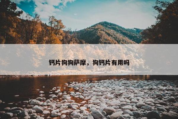 钙片狗狗萨摩，狗钙片有用吗