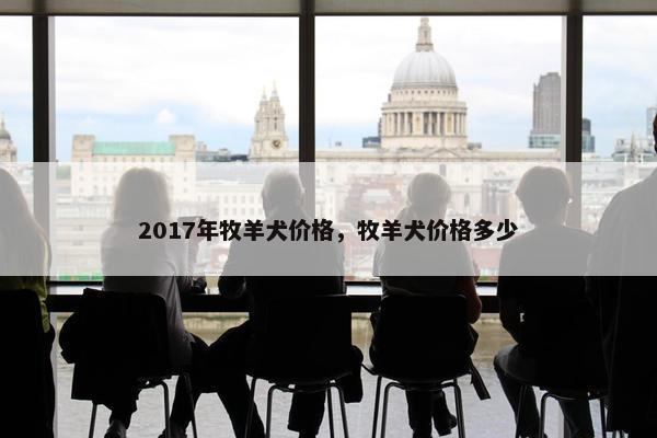 2017年牧羊犬价格，牧羊犬价格多少