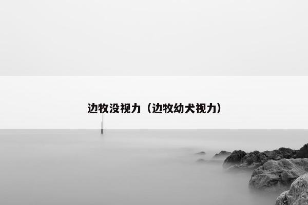 边牧没视力（边牧幼犬视力）