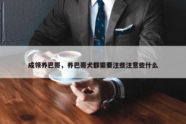 成领养巴哥，养巴哥犬都需要注些注意些什么
