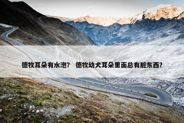 德牧耳朵有水泡？ 德牧幼犬耳朵里面总有脏东西？