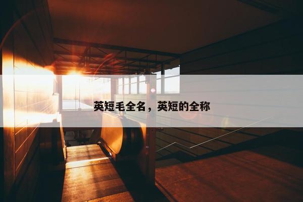 英短毛全名，英短的全称
