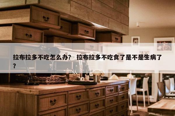 拉布拉多不吃怎么办？ 拉布拉多不吃食了是不是生病了？