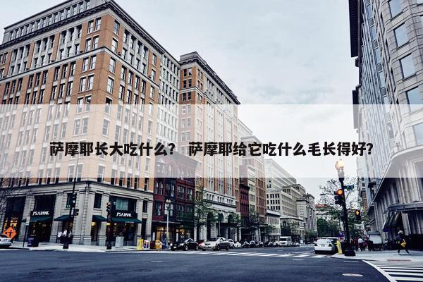 萨摩耶长大吃什么？ 萨摩耶给它吃什么毛长得好？