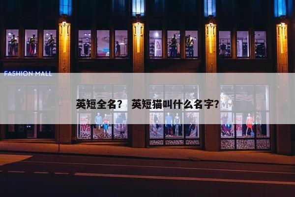 英短全名？ 英短猫叫什么名字？