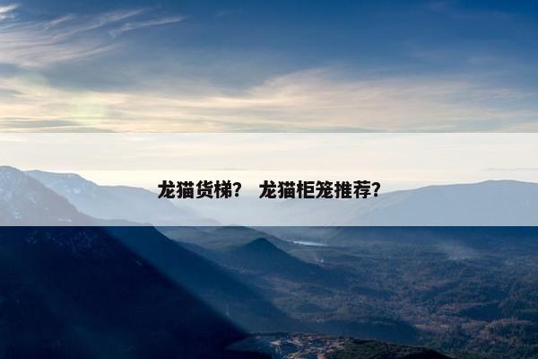 龙猫货梯？ 龙猫柜笼推荐？