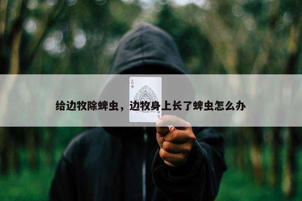 给边牧除蜱虫，边牧身上长了蜱虫怎么办