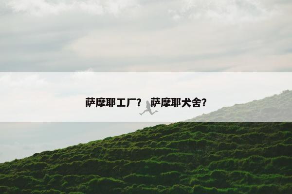 萨摩耶工厂？ 萨摩耶犬舍？