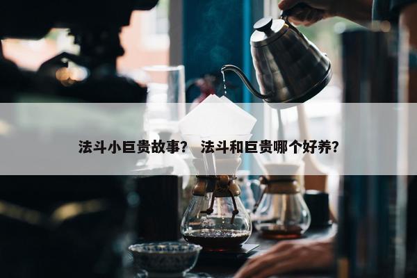 法斗小巨贵故事？ 法斗和巨贵哪个好养？
