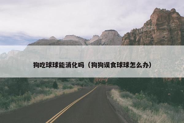 狗吃球球能消化吗（狗狗误食球球怎么办）