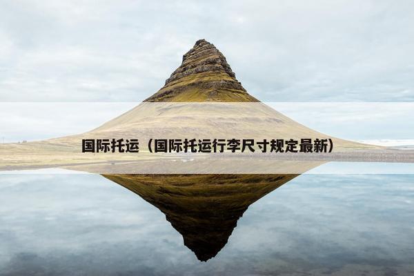 国际托运（国际托运行李尺寸规定最新）