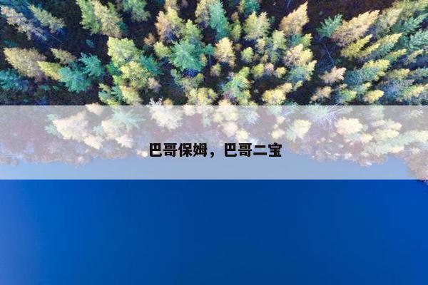 巴哥保姆，巴哥二宝