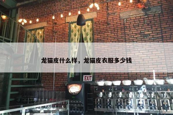 龙猫皮什么样，龙猫皮衣服多少钱