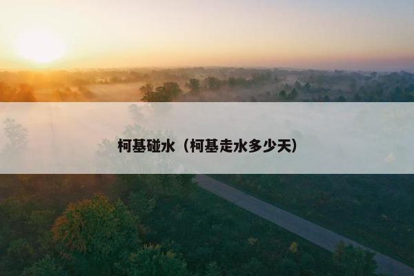 柯基碰水（柯基走水多少天）