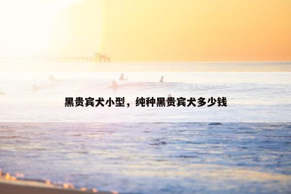 黑贵宾犬小型，纯种黑贵宾犬多少钱