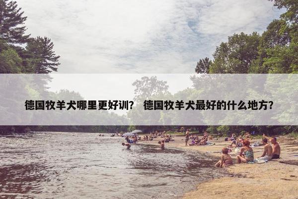 德国牧羊犬哪里更好训？ 德国牧羊犬最好的什么地方？