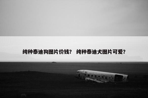 纯种泰迪狗图片价钱？ 纯种泰迪犬图片可爱？