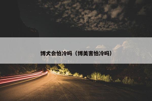 博犬会怕冷吗（博美害怕冷吗）