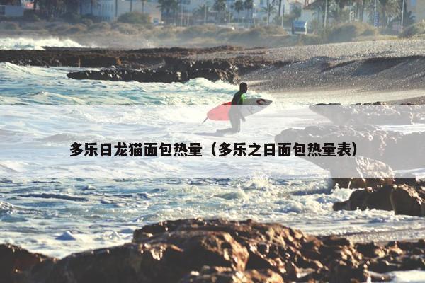 多乐日龙猫面包热量（多乐之日面包热量表）