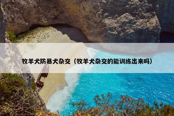 牧羊犬防暴犬杂交（牧羊犬杂交的能训练出来吗）