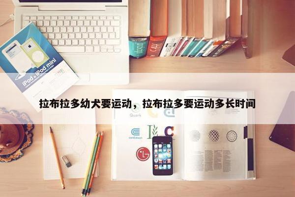 拉布拉多幼犬要运动，拉布拉多要运动多长时间