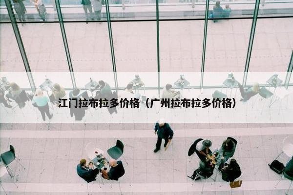 江门拉布拉多价格（广州拉布拉多价格）