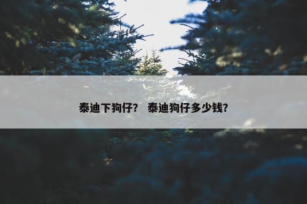 泰迪下狗仔？ 泰迪狗仔多少钱？