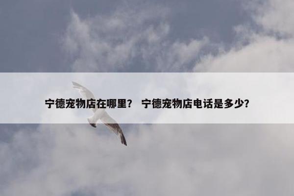 宁德宠物店在哪里？ 宁德宠物店电话是多少？