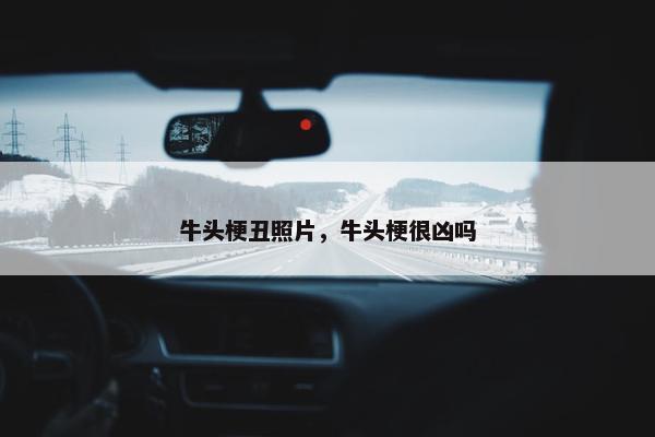 牛头梗丑照片，牛头梗很凶吗