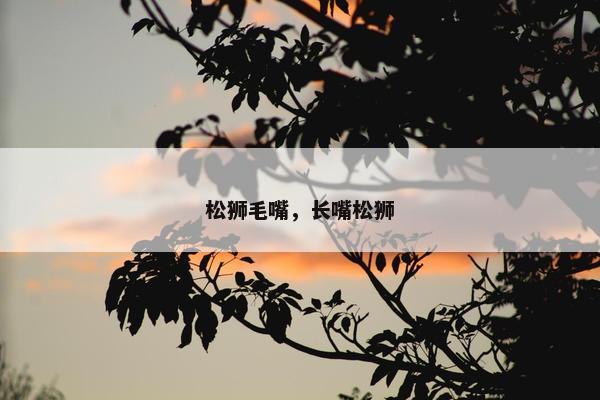 松狮毛嘴，长嘴松狮